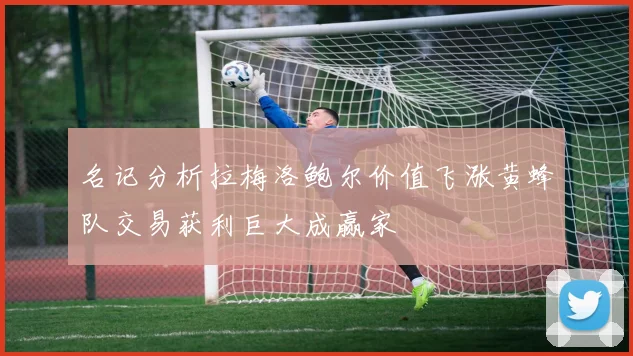 名记分析拉梅洛鲍尔价值飞涨黄蜂队交易获利巨大成赢家